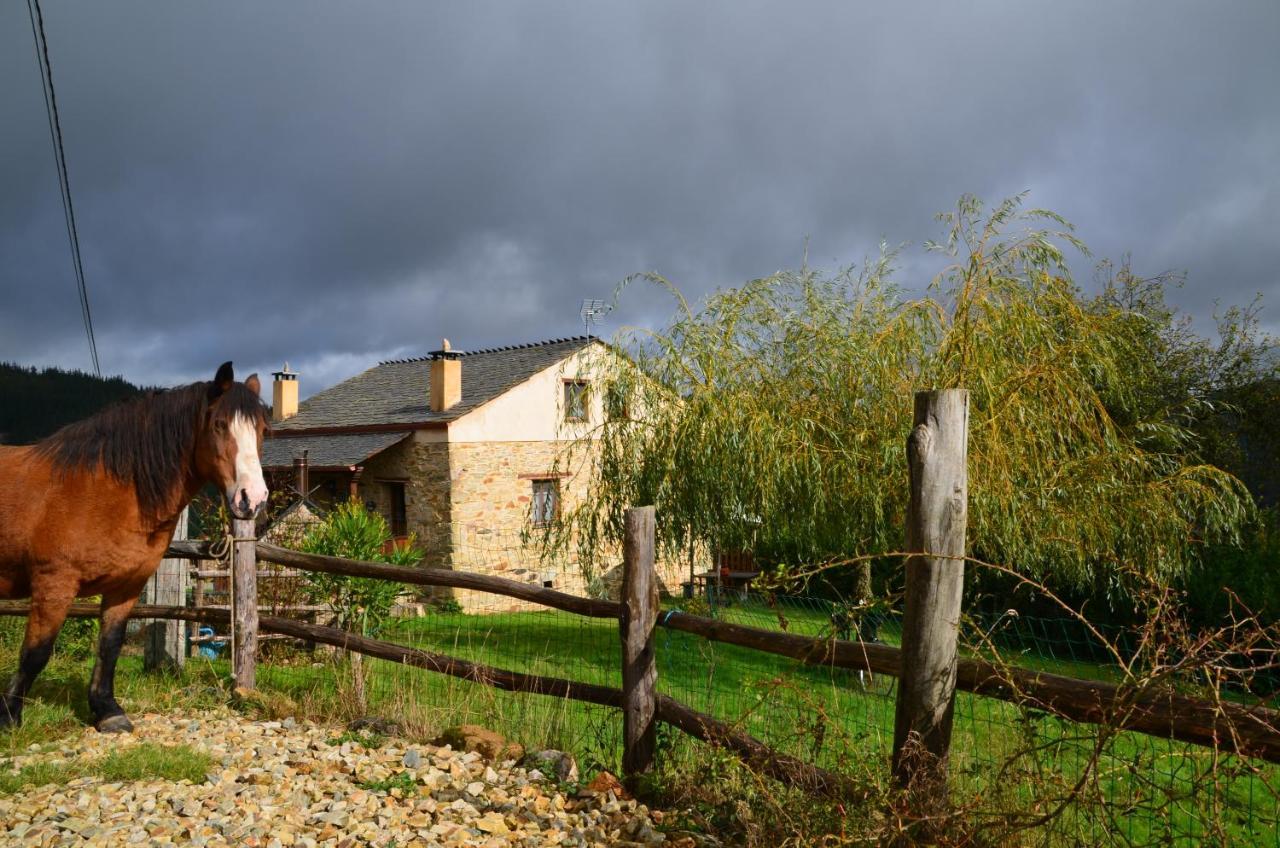 Apartamentos Rurales Tia Vicenta Santa Eulalia de Oscos Exteriör bild