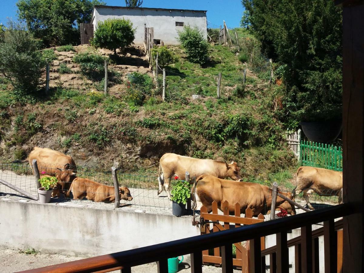 Apartamentos Rurales Tia Vicenta Santa Eulalia de Oscos Exteriör bild
