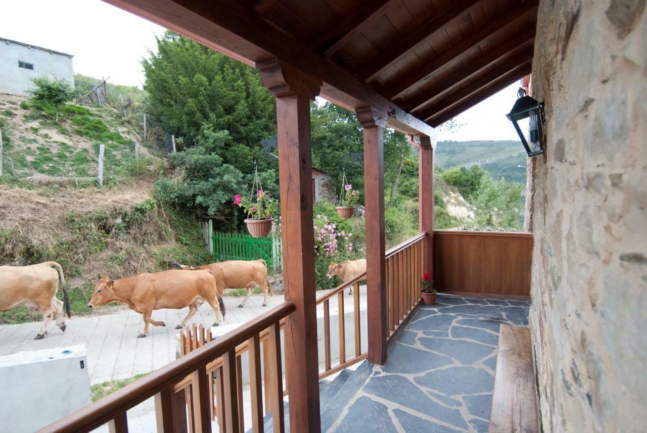 Apartamentos Rurales Tia Vicenta Santa Eulalia de Oscos Exteriör bild